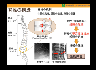 公開セミナーの様子