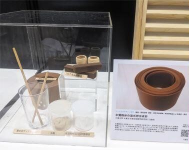 展示の様子