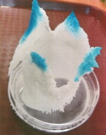 尿素結晶