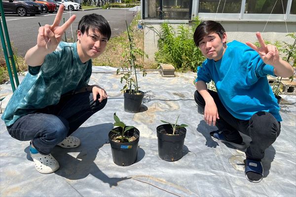 研究の様子