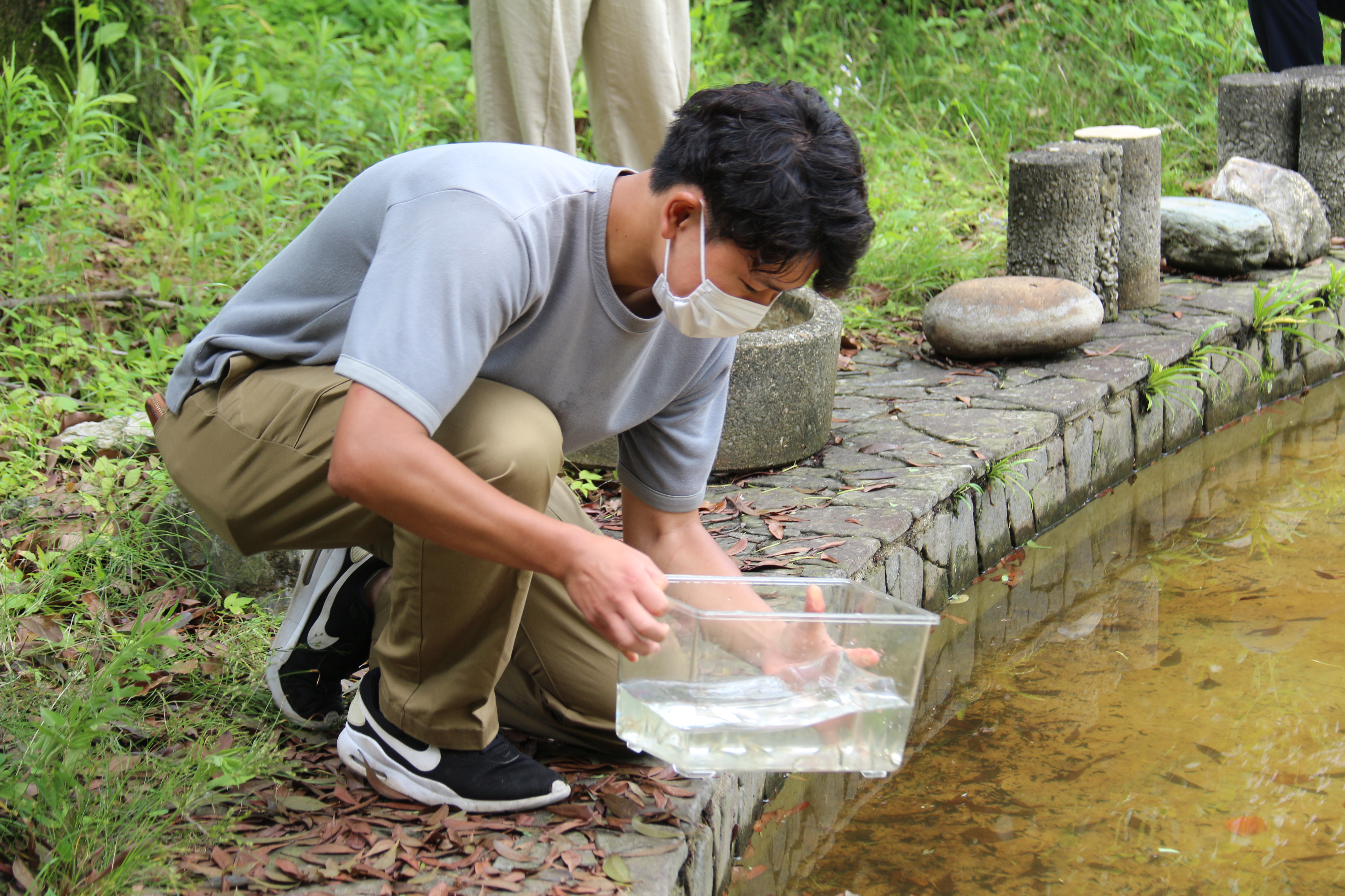 三翠庭園内の池を補修して