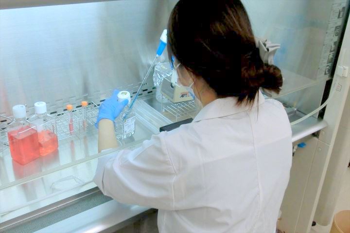 研究の様子②