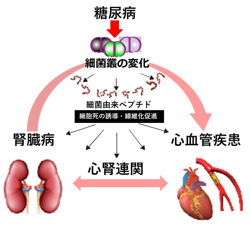 20230228_安間助教提供画像