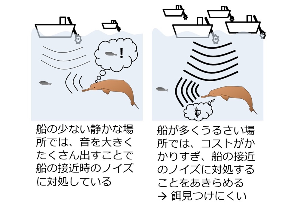 生物資源学研究科の森阪匡通准教授の研究グループが発表した論文がScientific Reports誌で「TOP 100 in Ecology」に選ばれました