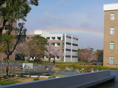匿名希望の学生の写真　キャンパスにかかる虹
