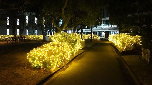 外の様子