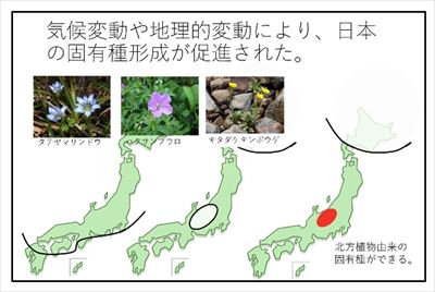 自然環境にどう向き合うか