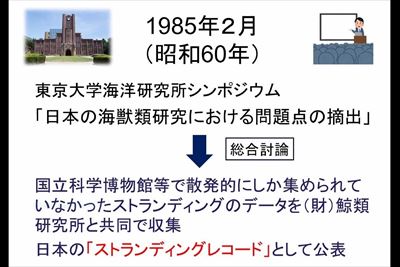 鯨類の生態の謎を解き明かす～伊勢湾と熊野灘の多様なクジラとイルカの物語～