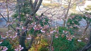 20180312_blog