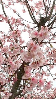 20210309_blog