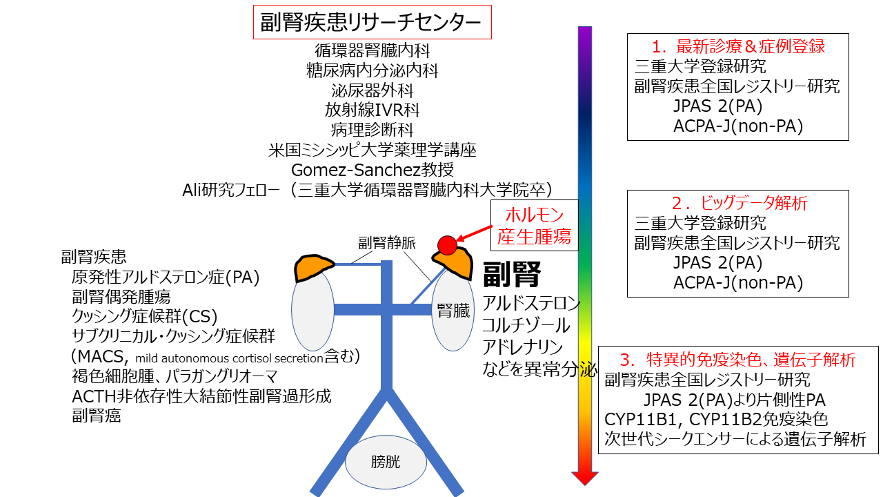 副腎センター 概要修正