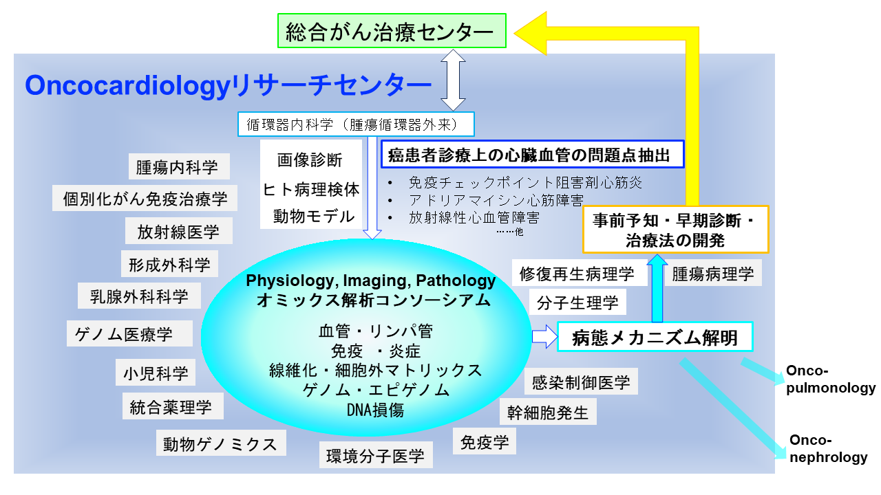 概要図(腫瘍循環器学)