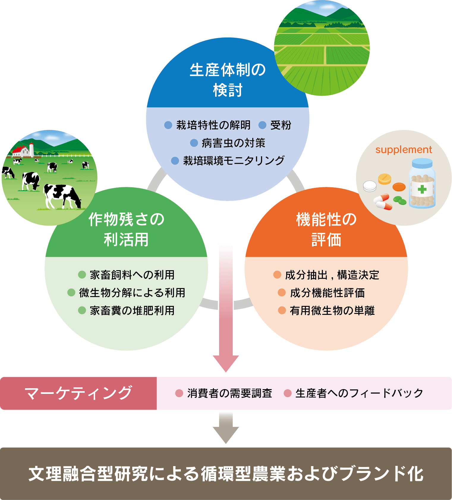 センター概要図