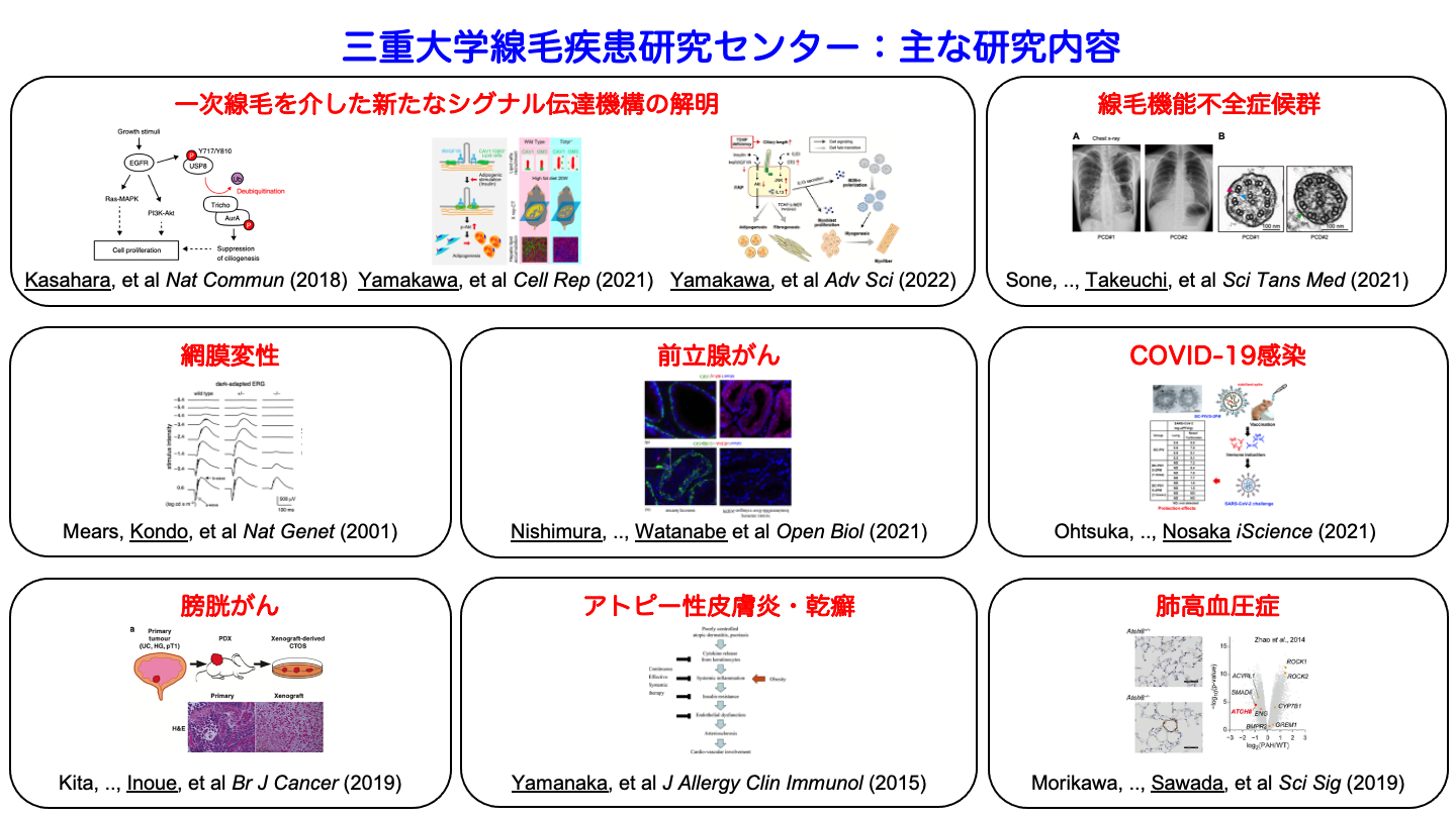 230805 線毛疾患研究センター - 研究内容.png