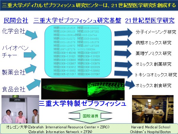 三重大学メディカルゼブラフィッシュ研究センター