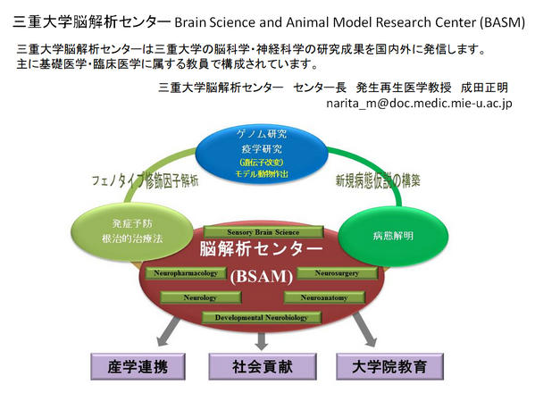 脳解析センター 研究概要