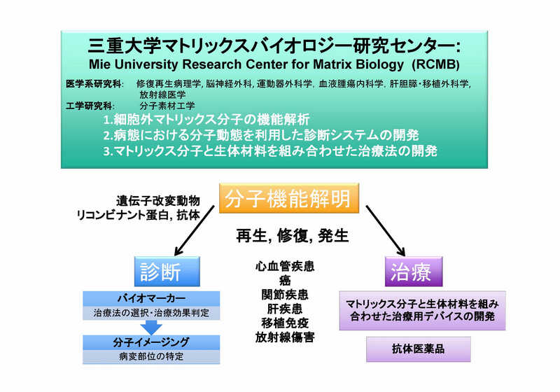 マトリックスバイオロジー研究センター 概要