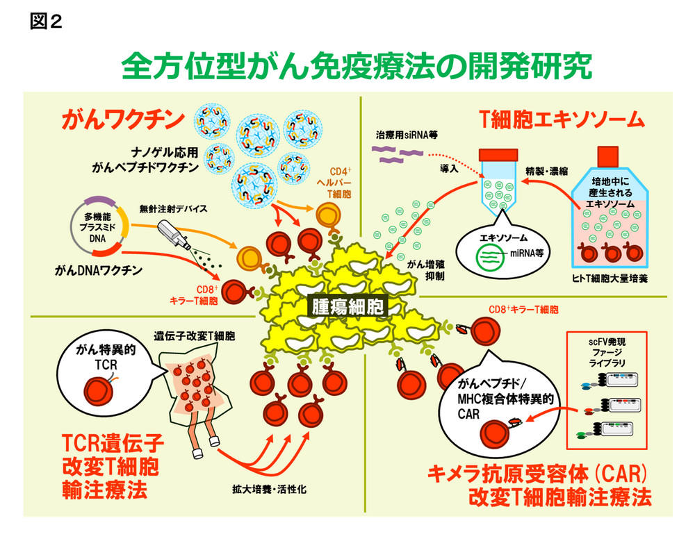 免疫療法とは何ですか?