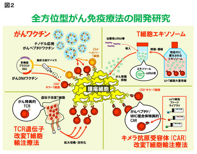 複合的がん免疫療法センター説明図