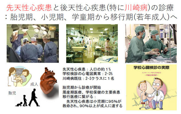 先天性心疾患と後天性心疾患(特に川崎病)の診療
