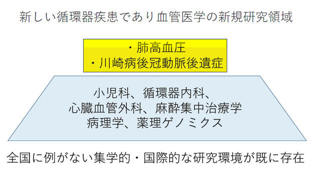 新しい循環器疾患であり血管医学の新規研究領域