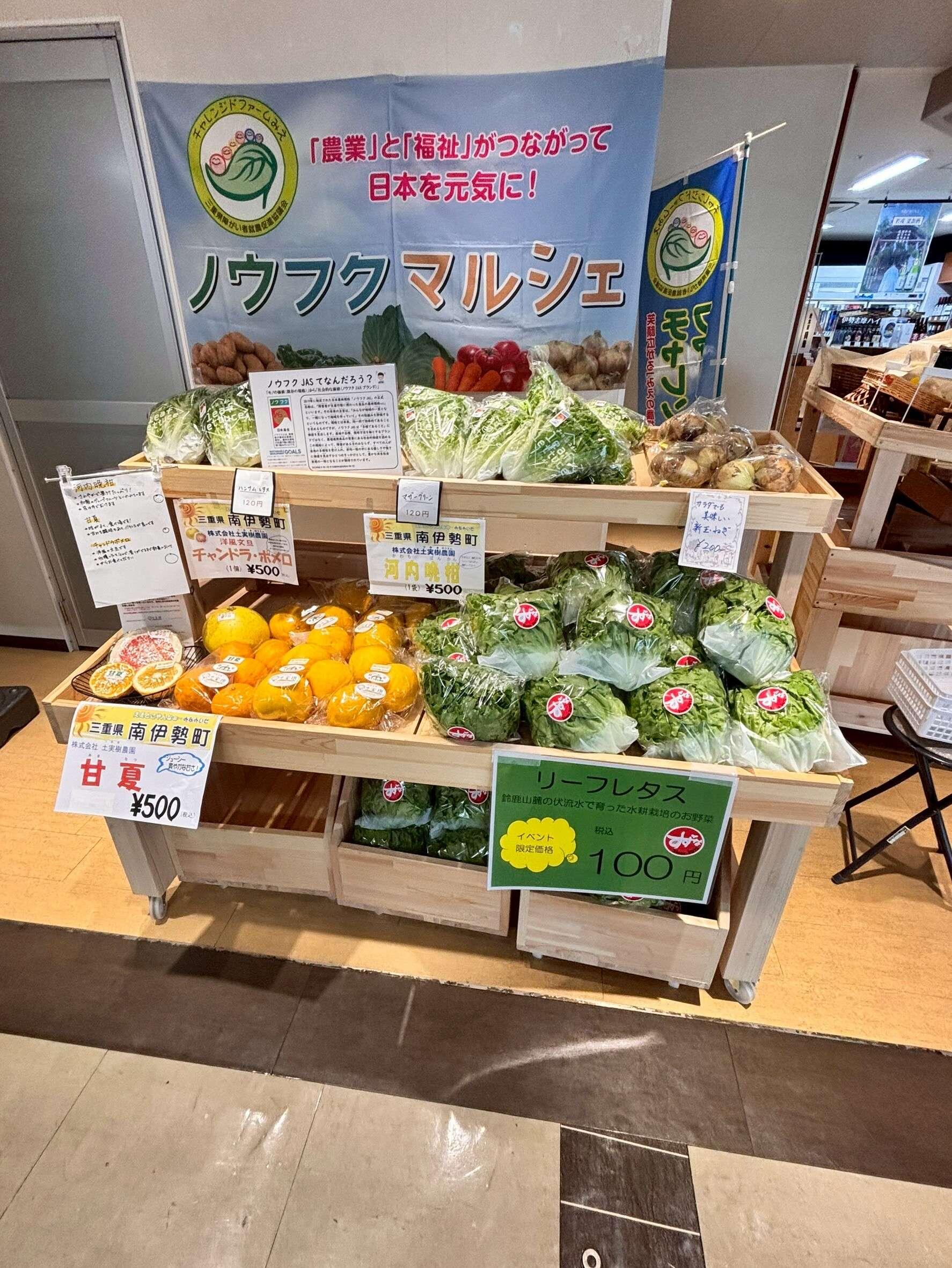 紹介写真2