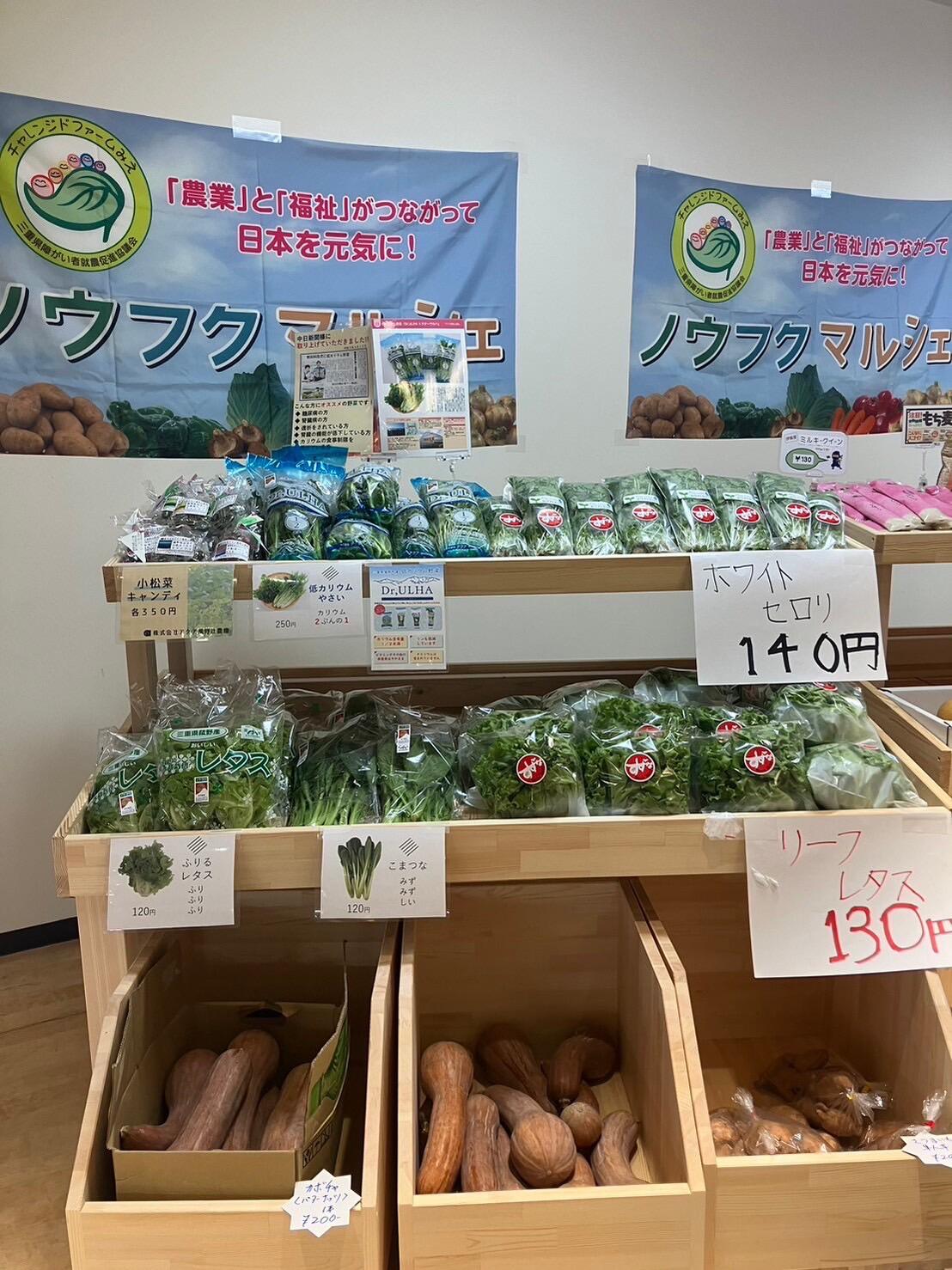 紹介写真2