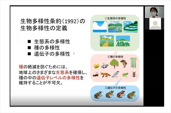 オンラインでの授業の様子